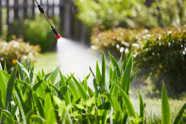 24/7 Emergency Mosquito Control experts in Simpsonville, KY